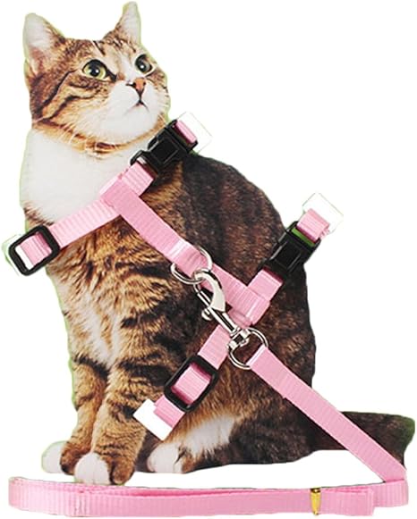 Harnais En Nylon Reglable Pour Chats Avec Laisse Et Collier Amazon Fr Animalerie
