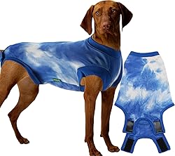 Sychien Dog Surgery Recovery Suit,Male Neuter