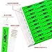 WristCo Let's Party Tyvek Wristbands for Events - 500 Count - Comfortable Tear Resistant Paper Bracelets ID Wrist Bands for Concerts Festivals Admission Party Identification Tours