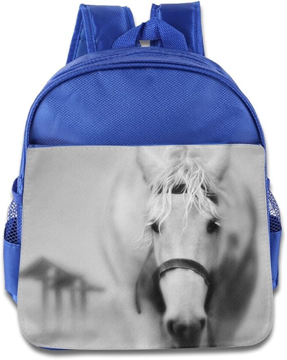 Horse Toddler Backpack For Kids,Cute School Backpack Snacks