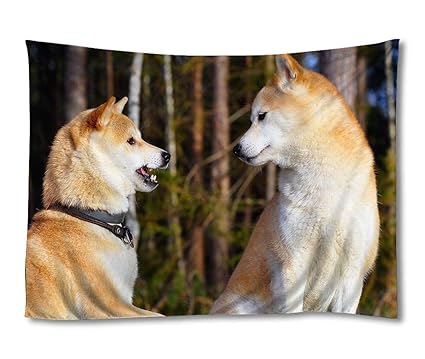 Amazoncom Ellostorka Akita Inu Couple Dog Entertainment