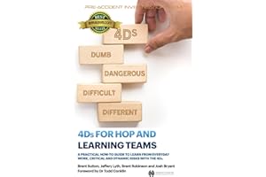 4Ds for HOP and Learning Teams: A practical how-to guide to facilitate learning from everyday work, critical and dynamic risks with the 4Ds.