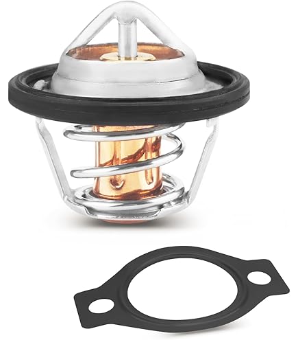 Amazon.com: 1830256C93 Thermostat Kit Fit Fit for International