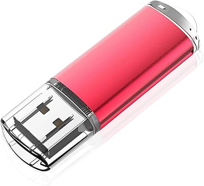 KOOTION 64GB USB 2.0 Flash Drive Red Keychain Design LED Indicator Plug Play