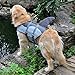 Queenmore Dog Life Jacket Ripstop Shark Dog Safety Vest Adjustable Preserver with High Buoyancy and Durable Rescue Handle for Small,Medium,Large Dogs, Grey Shark Small