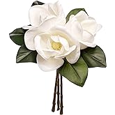 FlorisDecor 3 Stems Real Touch Creamy White Southern Magnolia Flowers, Artificial Realistic Magnolia Grandiflora for Home D&eacute;cor