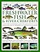 The Illustrated World Encyclopedia of Freshwater Fish & River Creatures: A Natural History and Identification Guide to the Animal Life of Ponds, Lakes ... 1000 Detailed Illustrations and Photographs