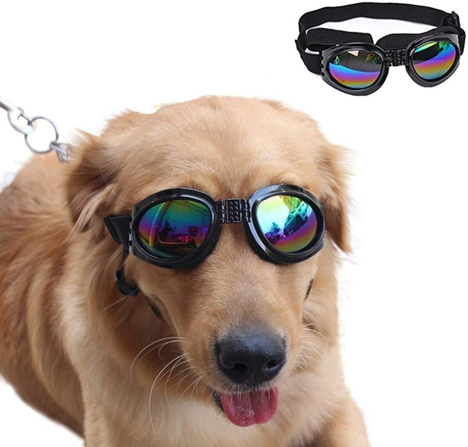 golden retriever with goggles