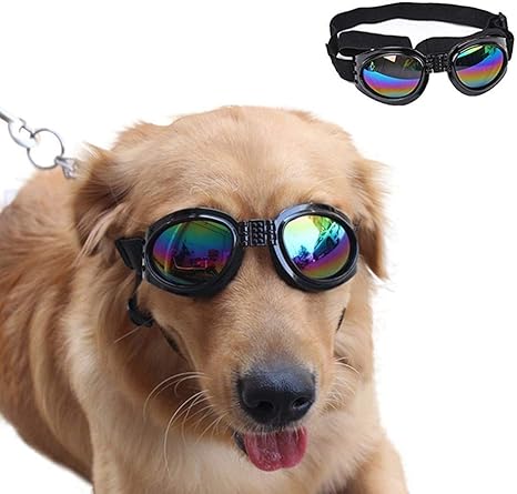 Amazon Com Top Elecmart Pet Glasses Dog Sunglasses Dog Glasses
