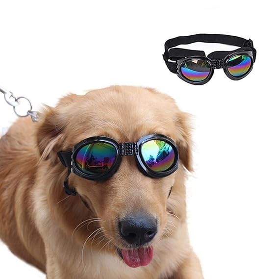 Buy VANVENE TopElecmart Pet Sunglasses Golden Retriever Samoyed Sunglasses Goggles Big Dog Eye
