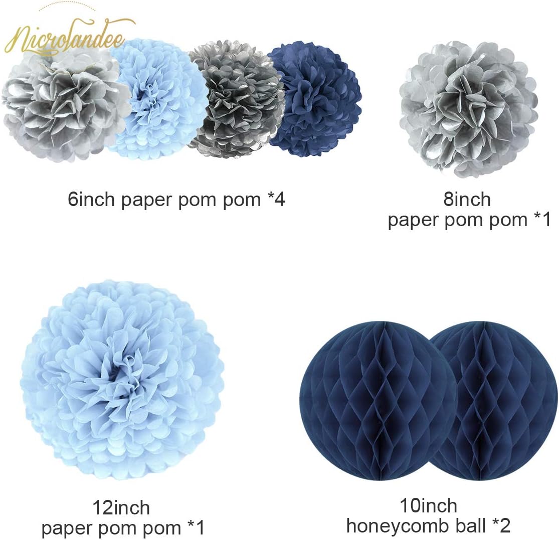 NICROLANDEE Frozen Theme Winter Wonderland Party Decoration - 16Pcs Silver Glitter Paper Lanterns Honeycomb Balls Tissue Pom Poms for Birthday Party Supplies Bridal Shower Wedding Decor: Health & Personal Care