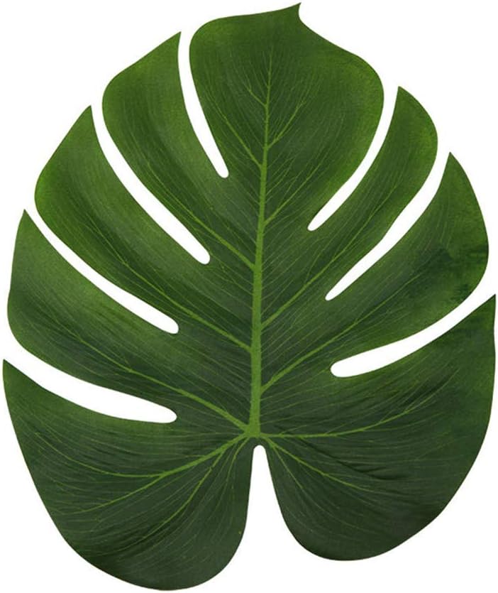 Which Is The Best Monstera Home Decor