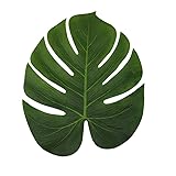 LJDJ Tropical Leaves Palm - Set of 60 - Large 13.8