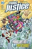 Young Justice Book Four by 