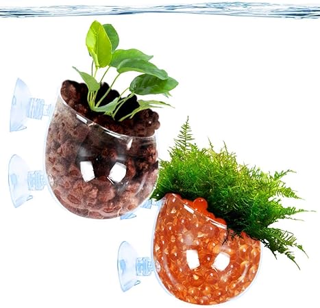 fish tank planter