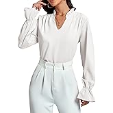 LYANER Women's Ruffle V Neck Solid Long Sleeve Chiffon Blouse Shirt Top