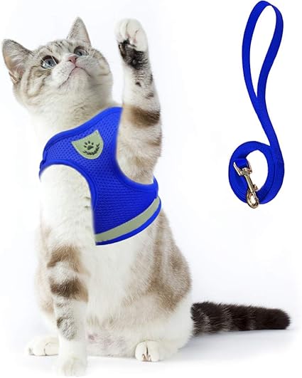 Supet Harnais Pour Chat Harnais Pour Chiot Anti Evasion Harnais De Lapin Doux Avec Laisse Pour Chaton Chiens Chihuahua Amazon Fr Cuisine Maison