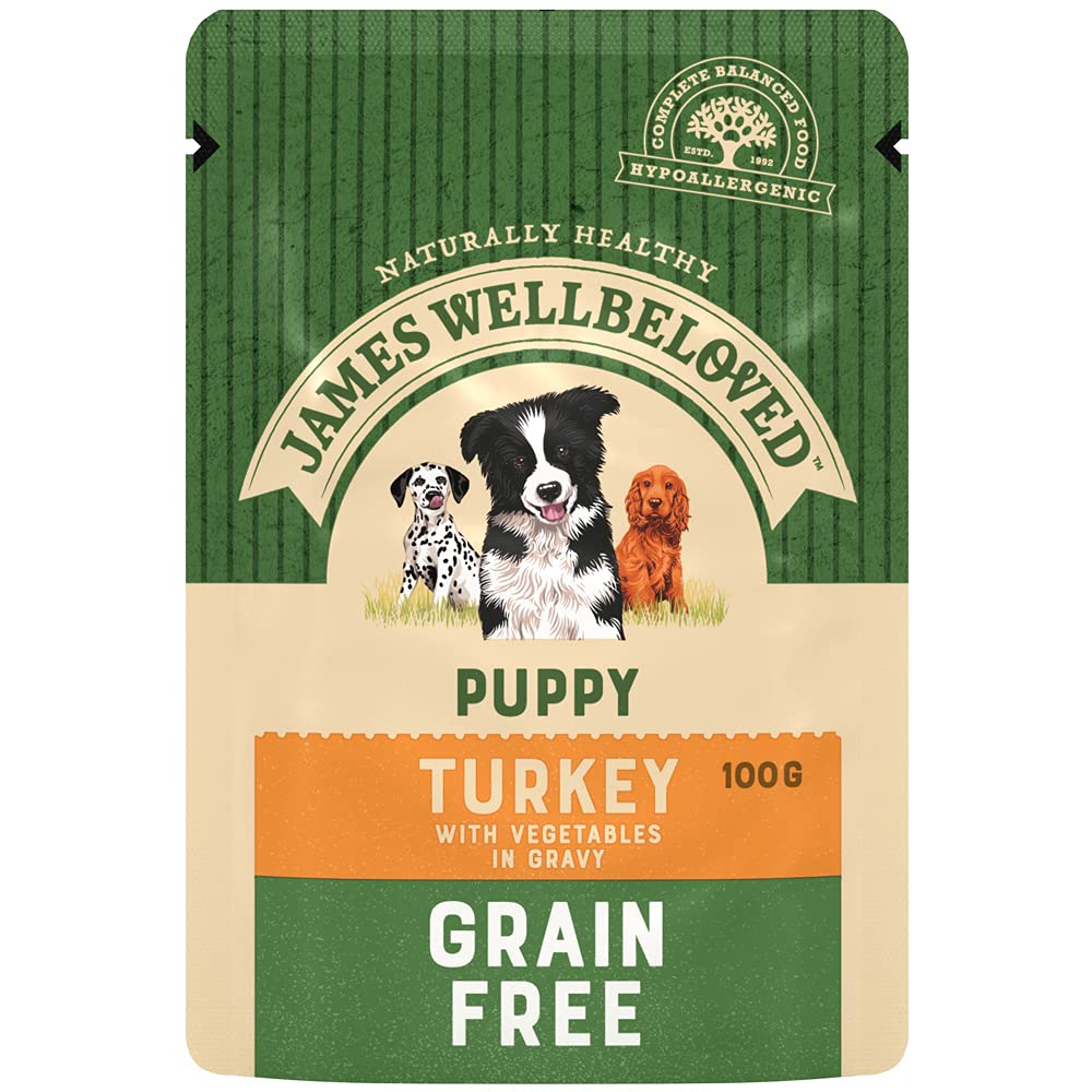 James Wellbeloved Junior Grain-Free Turkey in Gravy 12 Pouches, Hypoallergenic Wet Dog Food for Puppies, Pack of 1 (12x100 g)