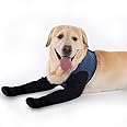 COODEO Dog Socks to Prevent Licking Paws, Dog Healing Bootss & Paw Protectors with Non-Slip Bottoms to Protect Wounds, Waterproof Sleeve Dog Shoes for Licking (Blue, L)