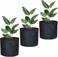 Awnic Sacos para Plantas Maceta Textil no Tejido Plantas Mini ...