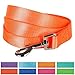 Blueberry Pet Essentials Florence Orange Dog Leash for Small -5' * 5/8