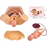 Advanced Midwifery Training Childbirth Simulator, Life Size Gynecology Maternity Teaching Model Includes Models of Baby Uterus Amniotic Sac Pelvis and Placenta Umbilical for Medical Pratice Training