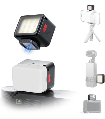 Amazon.com : Sony HVL-20DW2 Video Light for use with DCRVX2100