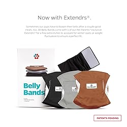 Pet Parents® Washable Belly Bands for Male Dogs