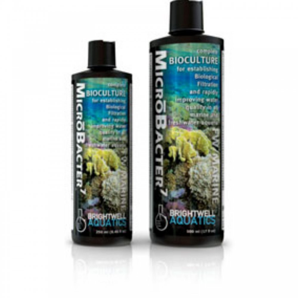 Brightwell Aquatics ABABAC250 Microbacter-7 Bioculture Fresh and Marine 8.5oz 250ml