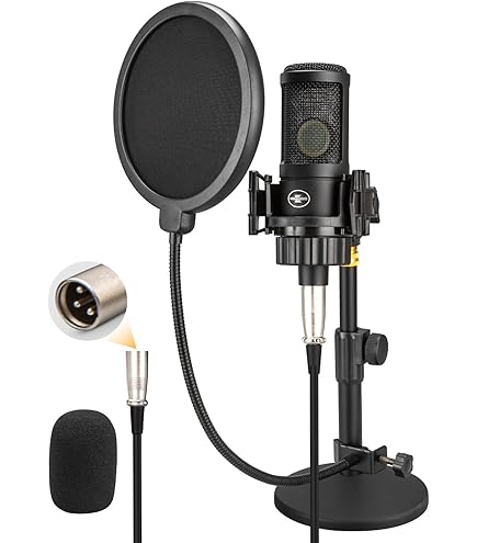 LyxPro コンデンサーマイク Amazon.com: LyxPro Condenser Microphone for Studio, Vocals