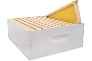 Mann Lake 10-Frame Medium Super Kit, Fully Assembled 6⅝" Super Box with 10 Durable Frames & Beeswax-Coated Plastic Foundation for Honey Storage, Beekeeping and Hive Expansion, Made in USA, Painted