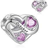 PHRUKAR Birthstone Charm for Charm Bracelet, 925 Sterling Silver Infinity Love Heart Charm for Bracelet and Necklace, Birthday Mother's day Christmas Jewelry Gifts for Women