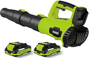 LEAPUL Leaf Blower, 21V Electric Cordless Blower, 2 X 2.0Ah Batteries and Charger Included, Lightweight Leaf Blower for Patio Cleaning, Lawn Care, Blowing Leaves and Dust, etc.