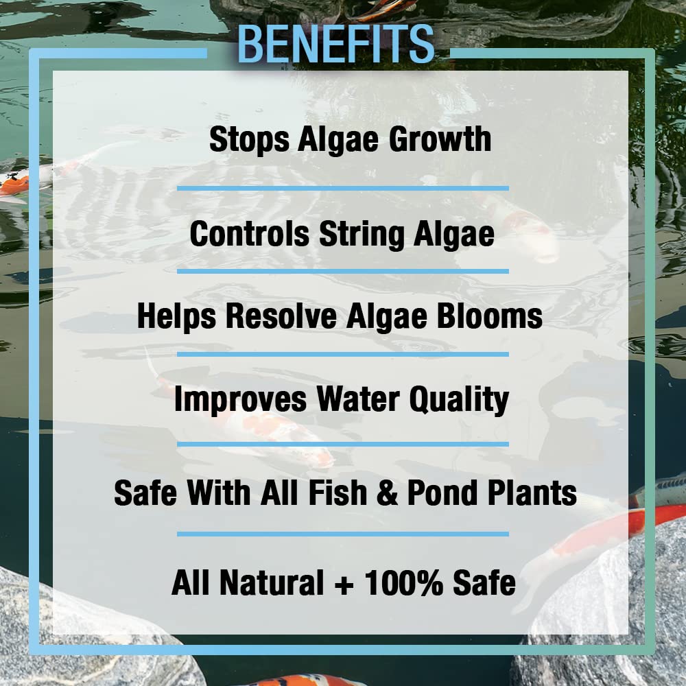 View of Mua MICROBE-LIFT ALGA16 Algaway 5.4 Algae Control Treatment for Ponds ...