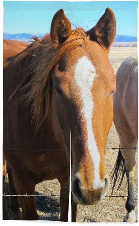 Amazon Mika 馬 おしゃれ暖簾 Norenn カーテン のれん 遮光 cm 136cm 目隠し間仕切り 目隠しカーテン 透けない 玄関 収納 寝室 新生活 のれん オンライン通販