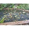 Blagdon-1022378-Clearview-Pond-Cover-Net-Strong-Double-Weave-Black-Fine-With-Pegs-3-m-x-2-m-10-x-6-6-Protects-Pond Blagdon 1022378 Clearview Pond Cover Net, Strong Double Weave, Black, Fine, With Pegs, 3 m x 2 m (10’ x 6’ 6”), Protects…