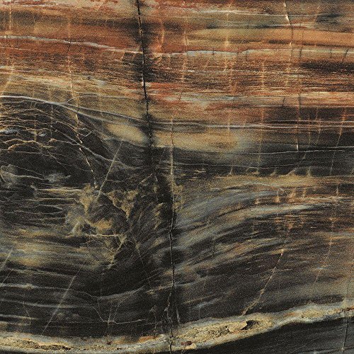 Formica Brand Laminate 034741246408000 Petrified Wood Laminate, Etchings