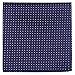 Retreez 5 Piece Assorted Woven Microfiber Premium Pocket Square Gift Box Set - Set 004