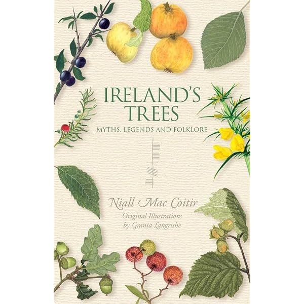 【中古】 Ireland’s Birds: Myths, Legends and Folklore/COLLINS PR/Niall Mac Coitir Ireland's Birds: Myths, Legends and Folklore: MacCoitir, Niall