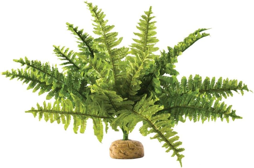 Exo Terra Boston Fern Terrarium Plastic Plant Medium