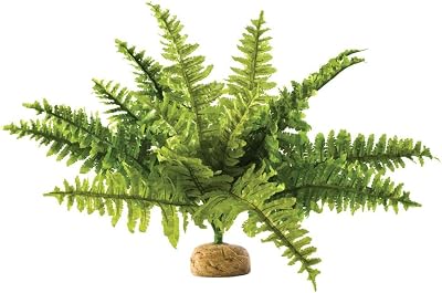 Exo Terra Boston Fern Terrarium Plastic Plant Medium