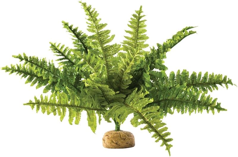 Exo Terra Boston Fern Terrarium Plastic Plant Medium