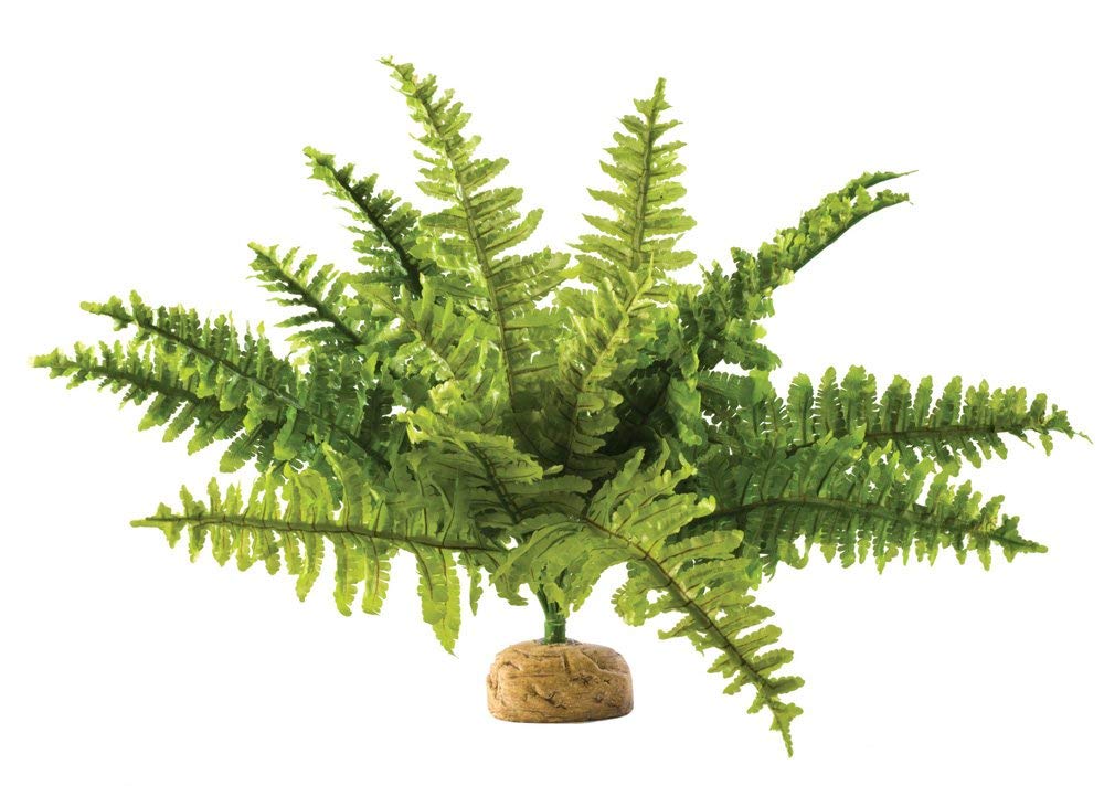 Exo Terra Boston Fern Terrarium Plastic Plant, Medium
