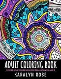 Adult Coloring Book: Stress Relieving Designs for Relaxation Volume 3 (Stress Relieving Coloring Books) by