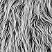 Shannon Fabrics Shannon Faux Fur Mongolian Fabric by the Yard, Grey Frost