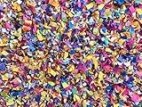 Indian Fusion Mix Biodegradable Confetti Bright Multi-colored Blue Magenta Pink Purple Orange Yellow Birthday Decorations Bulk Pack InsideMyNest (25 Handfuls)