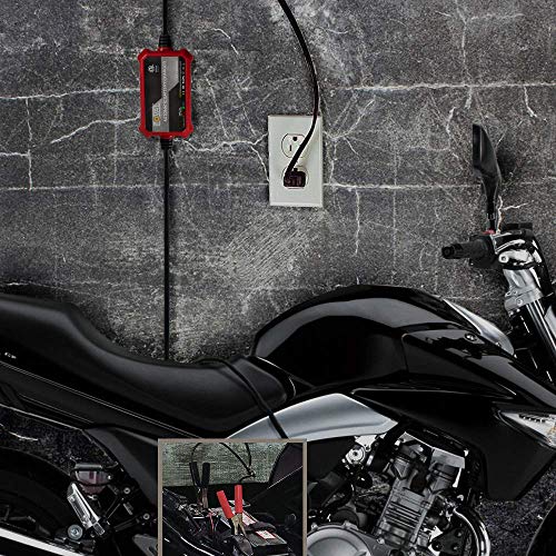 Foval Automatic Trickle Battery Charger 12V 1000mA Smart Battery