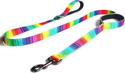 rainbow rope leash