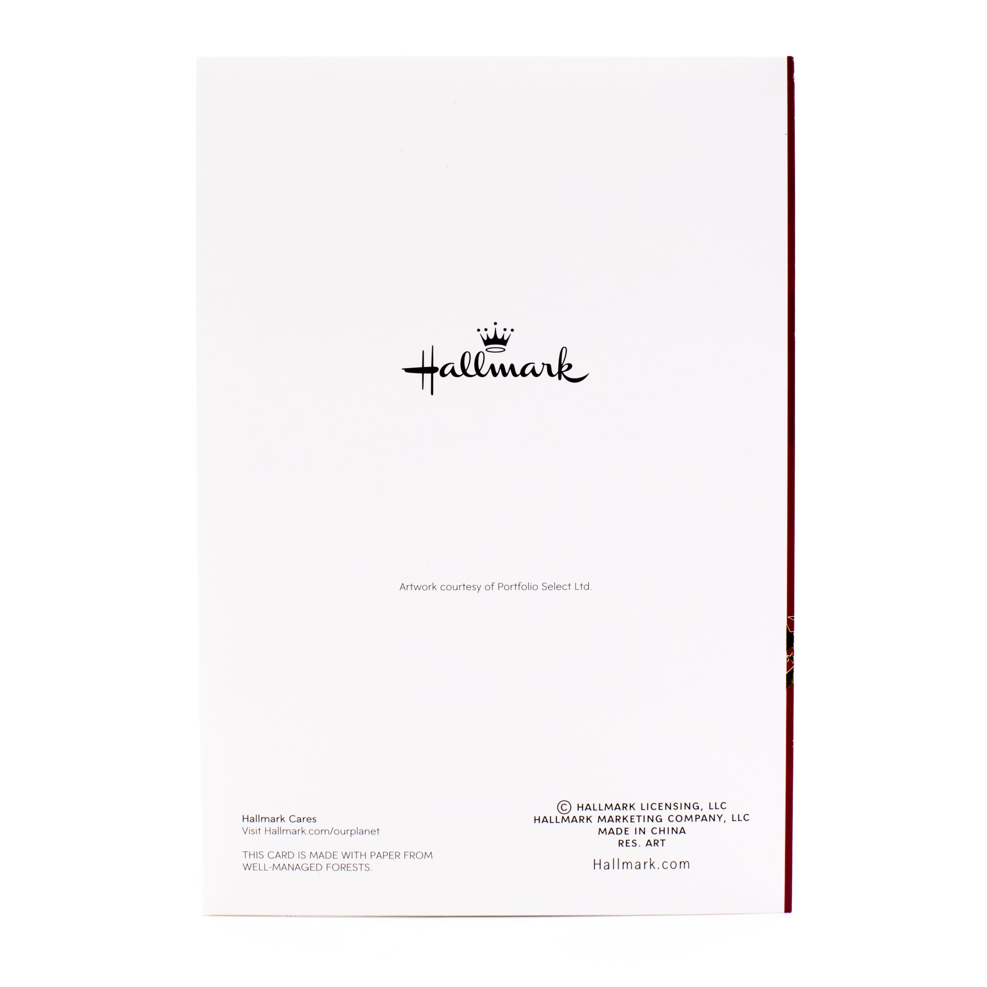 Hallmark Religious Christmas Boxed Cards, Nativity Scene (16 Christmas Cards and 17 Envelopes)