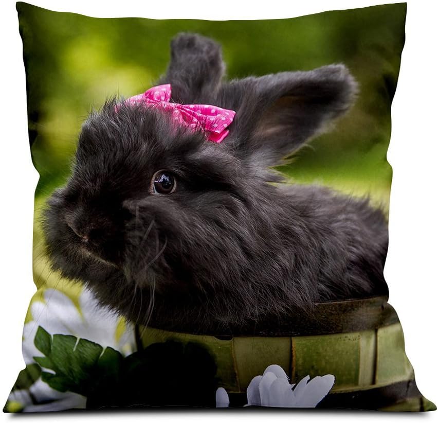 Amazon Co Jp 正方形装飾抱き枕 柔らかい枕 ルームソファ車の装飾枕 かわいい黒いウサギのペット 45x45cm ホーム キッチン